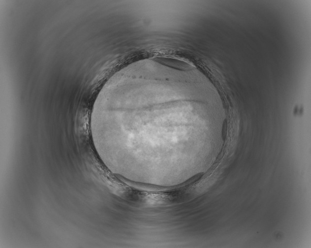 X0000114560336200911161229