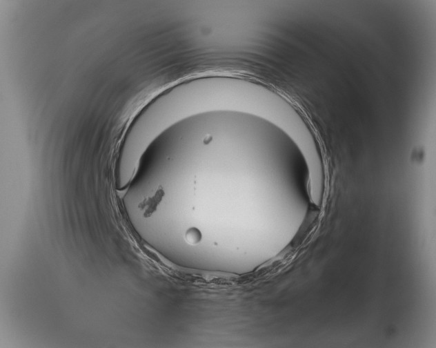 X0000114560337200911161229