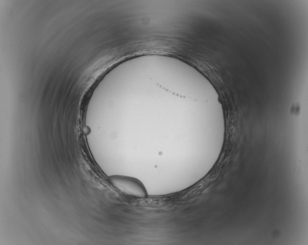 X0000114560338200911161229