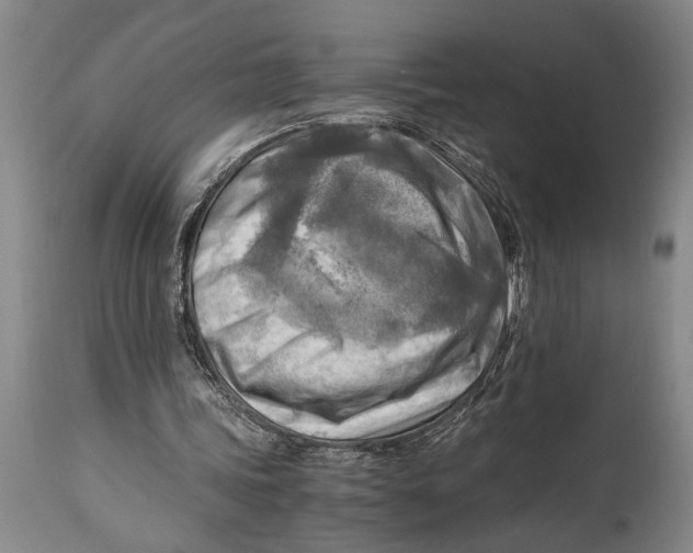 X0000114560339200911161229