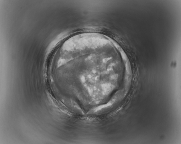 X0000114560343200911161229