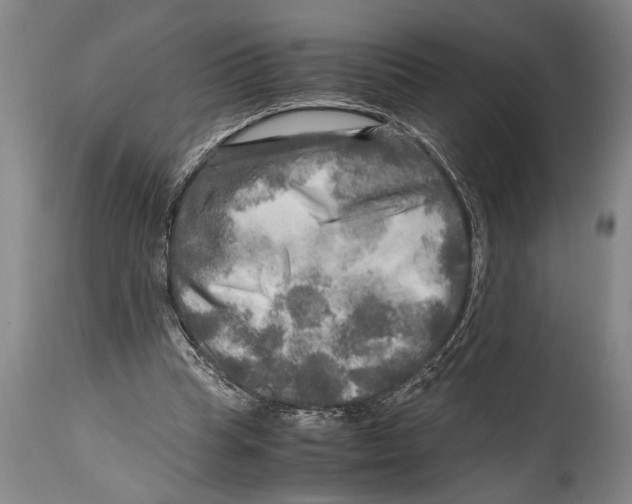 X0000114560345200911161229