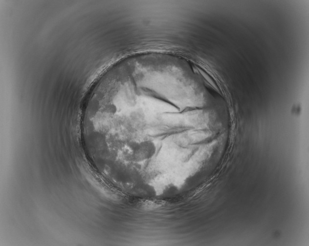 X0000114560346200911161229