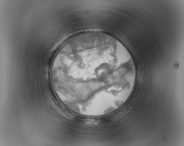 X0000114560347200911161229