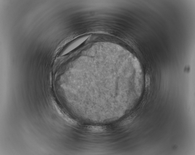 X0000114560349200911161229