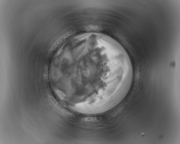 X0000114560353200911161229