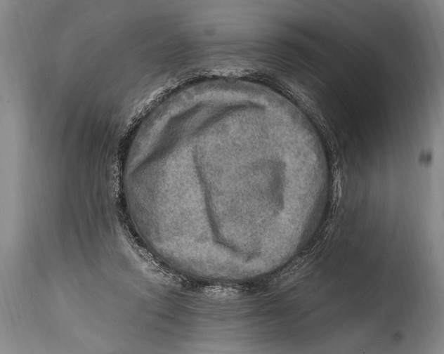 X0000114560354200911161229