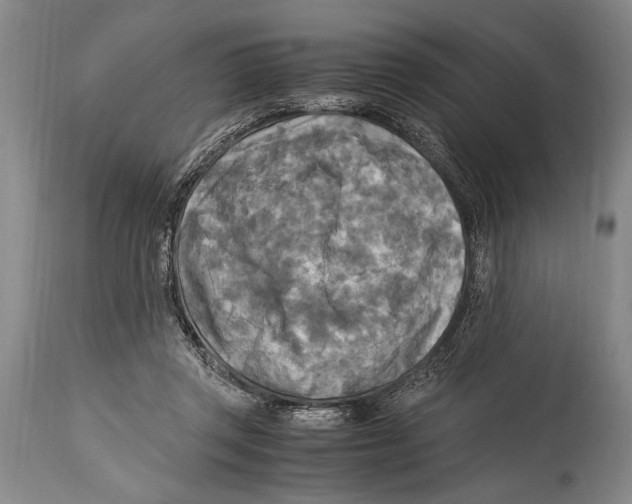 X0000114560357200911161229