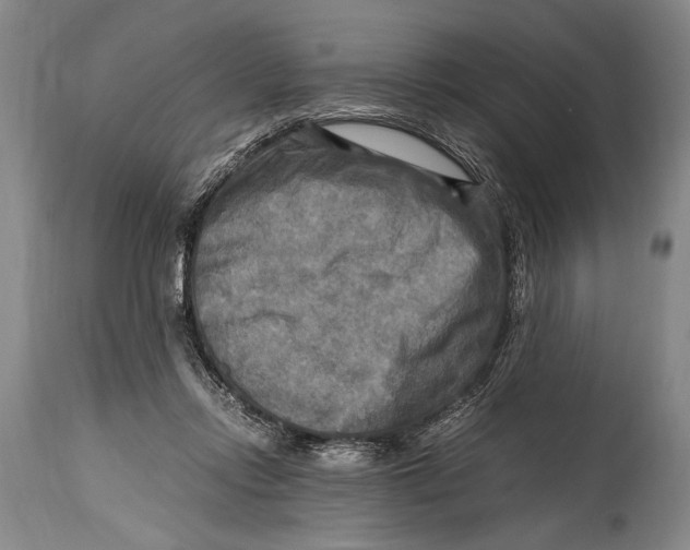 X0000114560358200911161229