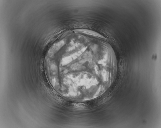 X0000114560359200911161229