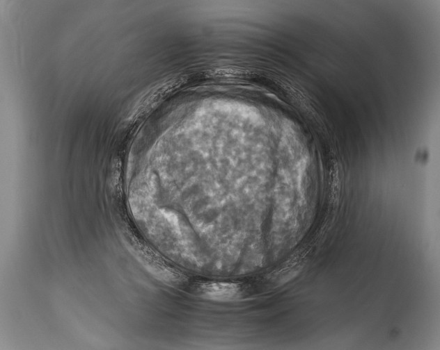 X0000114560361200911161229