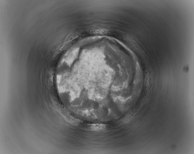 X0000114560363200911161229