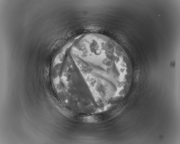 X0000114560365200911161229
