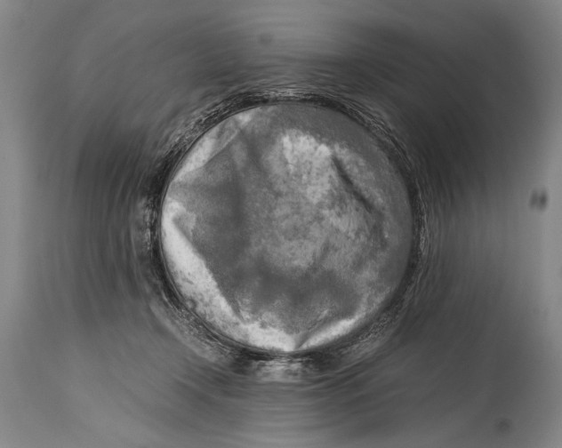 X0000114560366200911161229