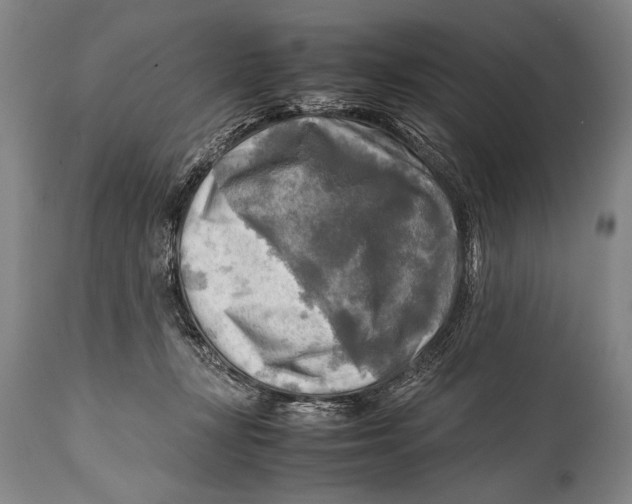 X0000114560367200911161229