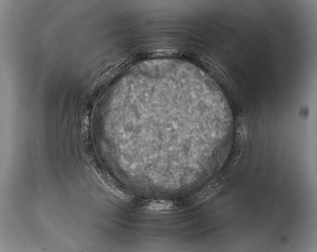 X0000114560369200911161229