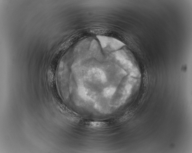 X0000114560371200911161229