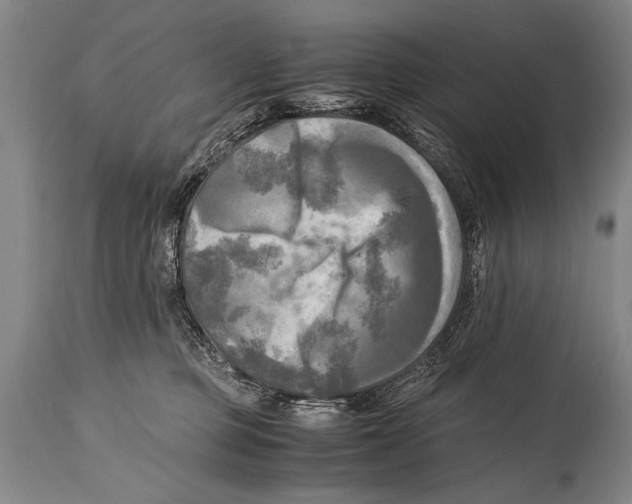X0000114560373200911161229
