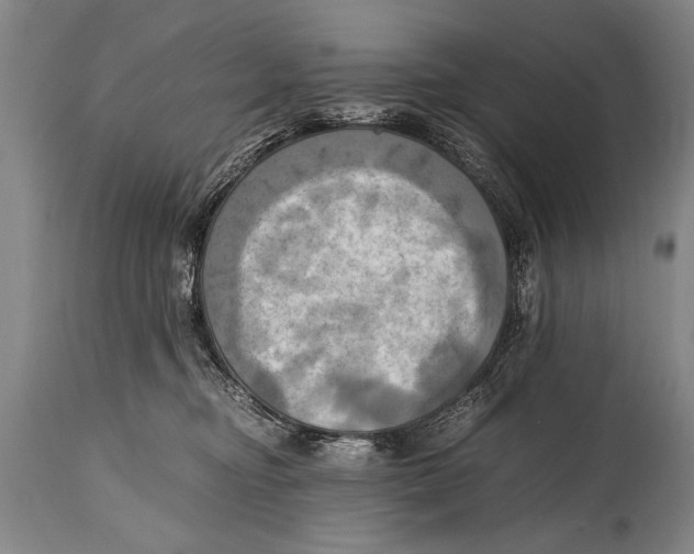 X0000114560374200911161229
