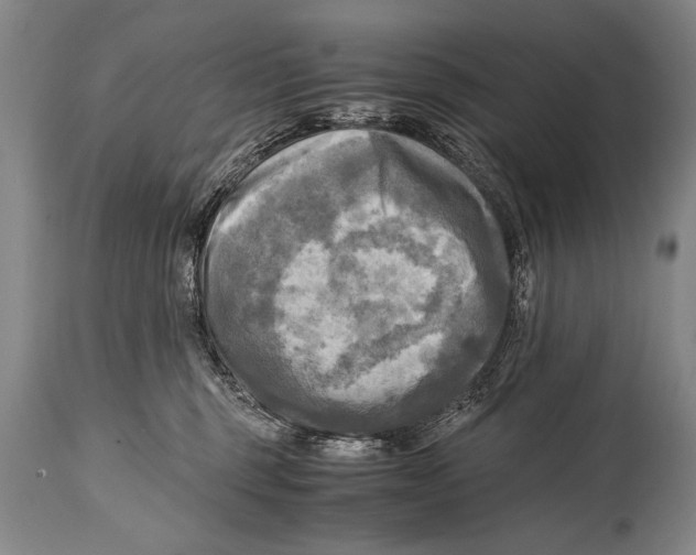 X0000114560375200911161229