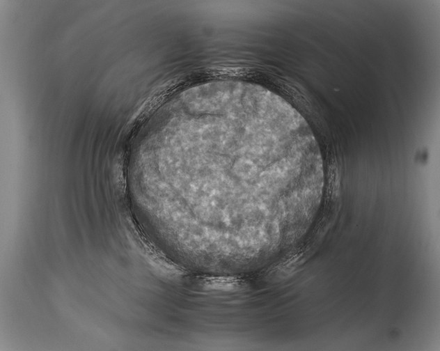 X0000114560377200911161229