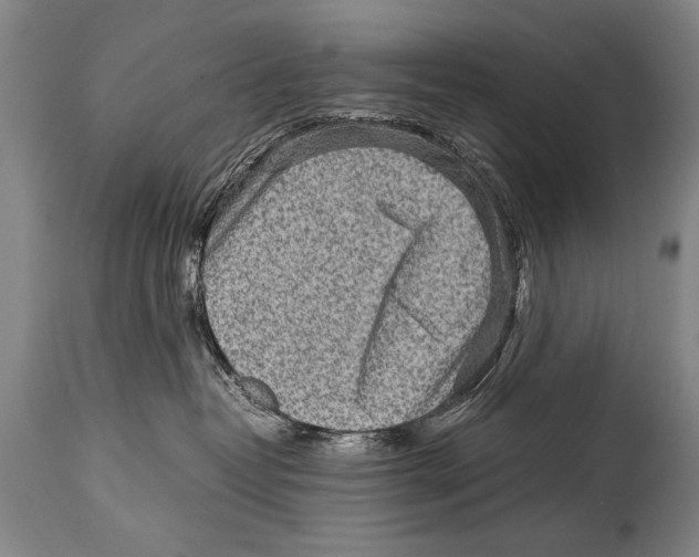 X0000114560382200911161229