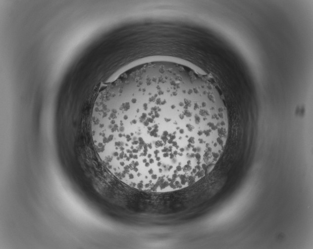 X0000114560383200911161229