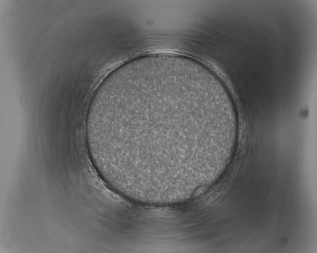 X0000114560385200911161229