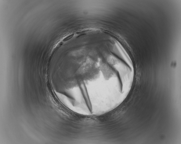 X0000114560386200911161229