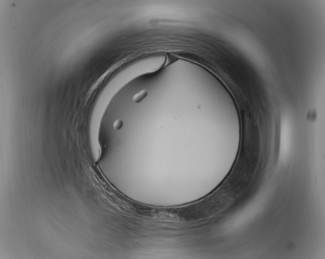 X0000114560387200911161229
