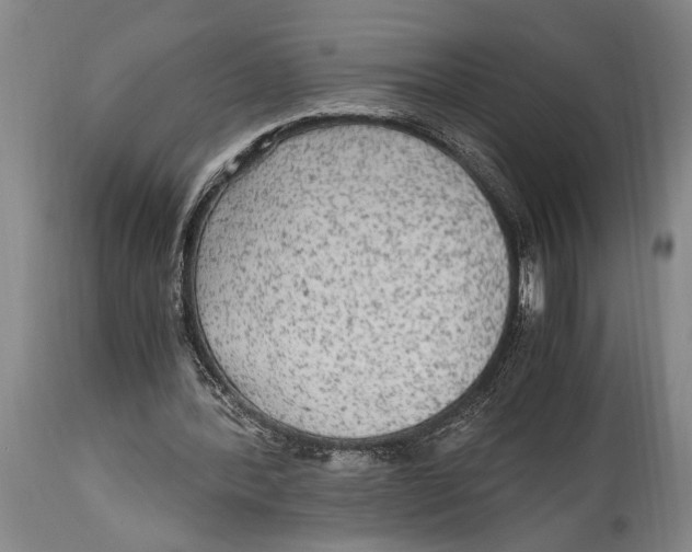 X0000114560388200911161229