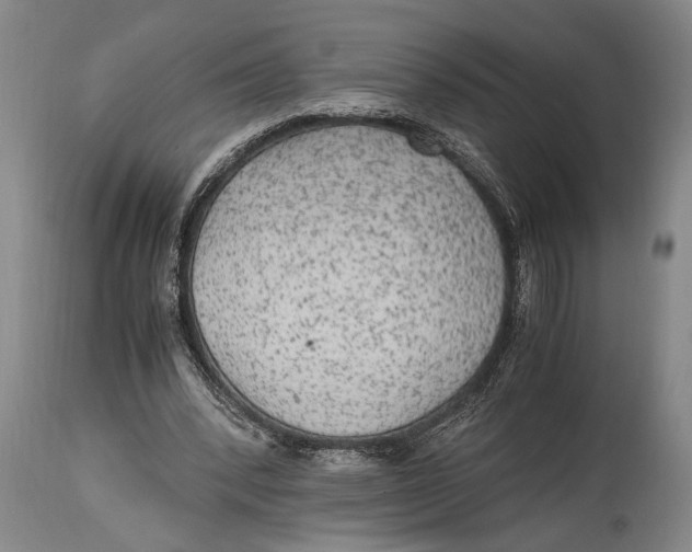 X0000114560392200911161229