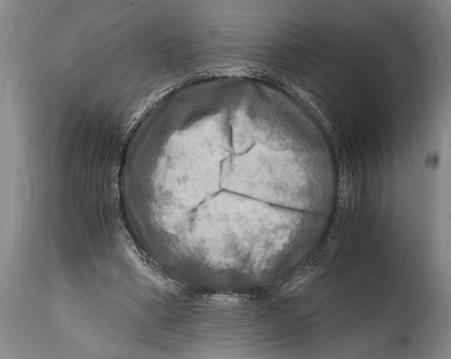 X0000114560394200911161229