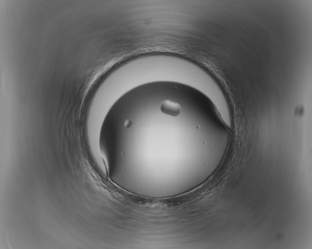 X0000114560395200911161229
