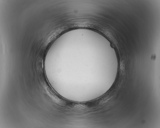 X0000114560397200911161229