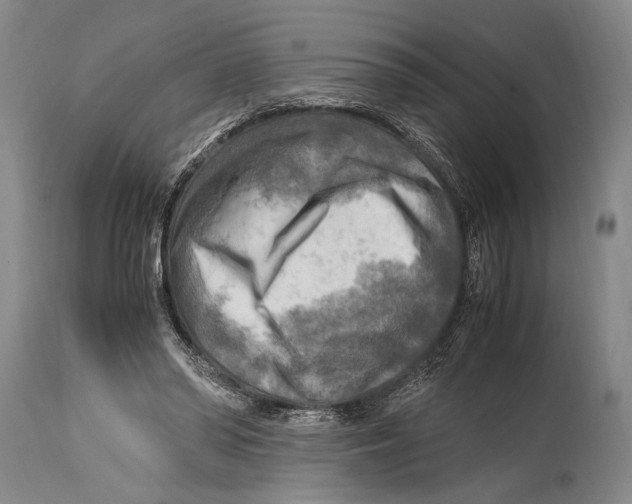 X0000114560398200911161229