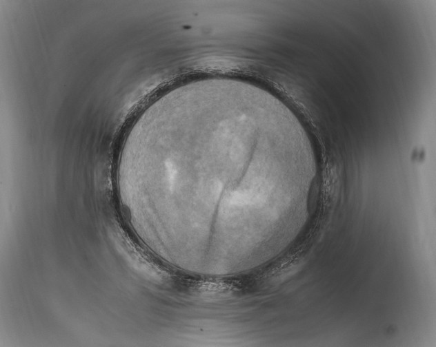 X0000114560399200911161229