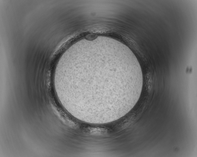 X0000114560400200911161229