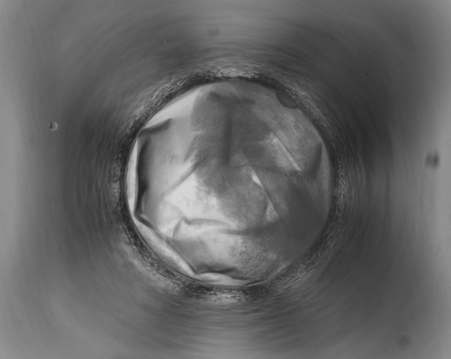 X0000114560402200911161229