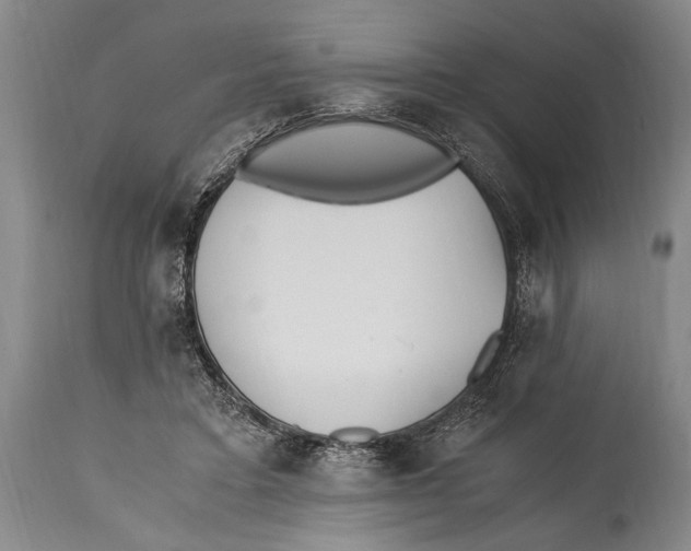 X0000114560403200911161229