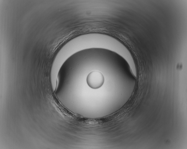 X0000114560405200911161228