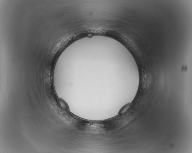 X0000114560407200911161228
