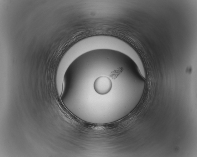 X0000114560409200911161228