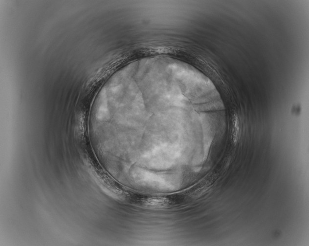 X0000114560410200911161228