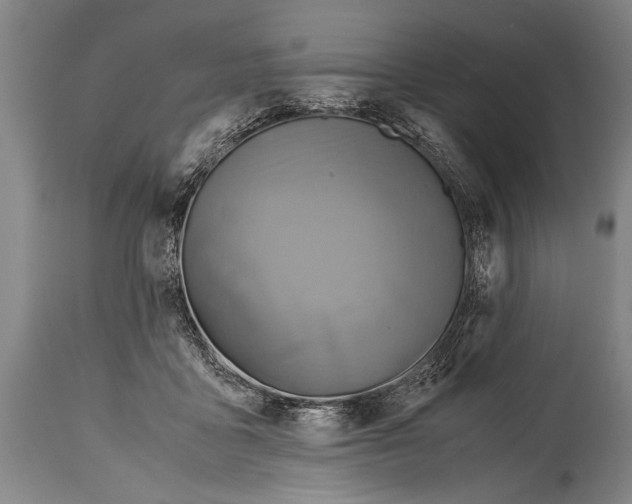 X0000114560411200911161228