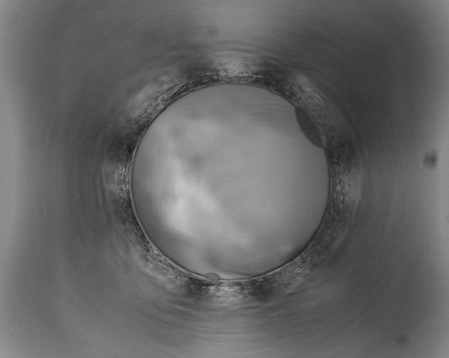 X0000114560419200911161228