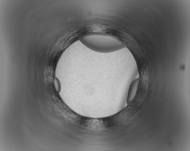 X0000114560421200911161228