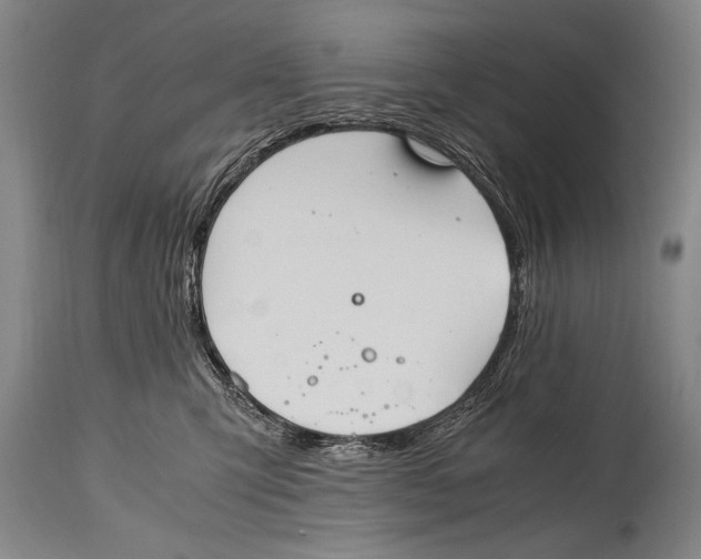 X0000114560423200911161228
