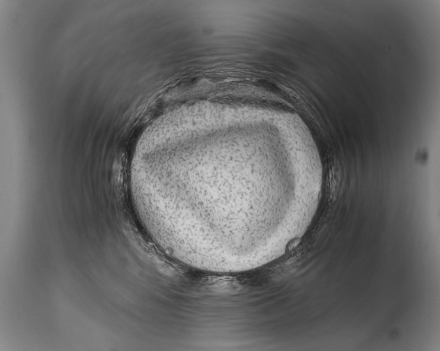 X0000114560424200911161228