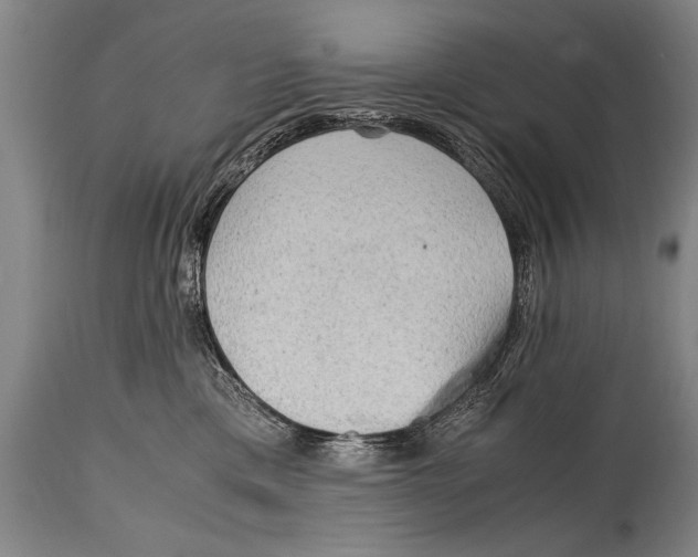X0000114560425200911161228